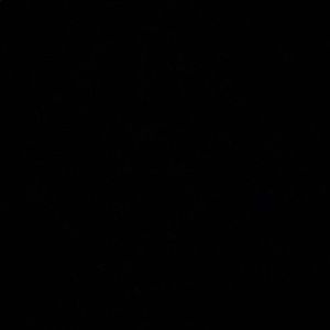 Meet your Posher, Jaden